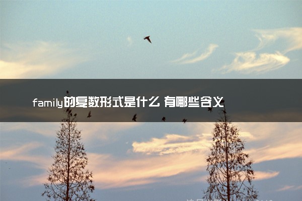 family的复数形式是什么 有哪些含义