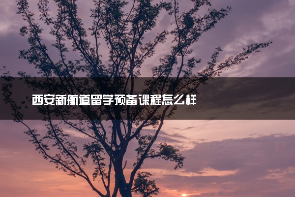 西安新航道留学预备课程怎么样
