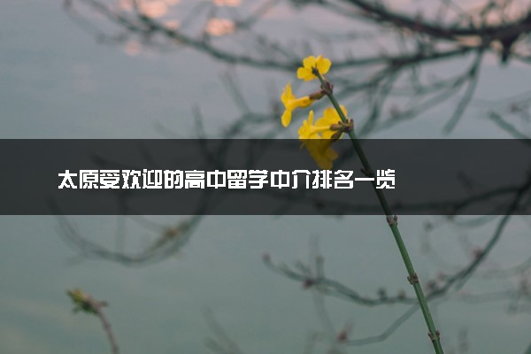 太原受欢迎的高中留学中介排名一览