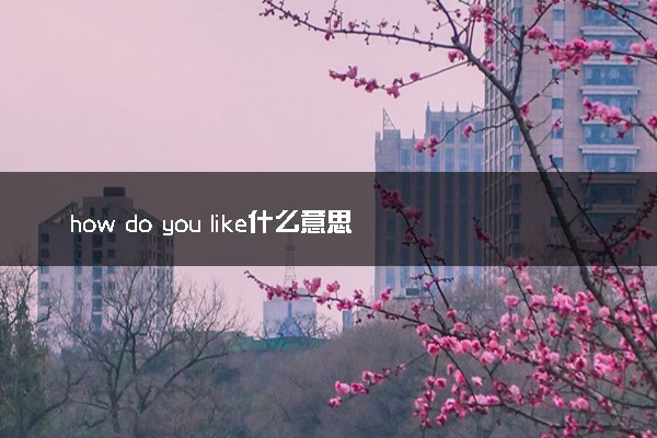 how do you like什么意思 如何回答