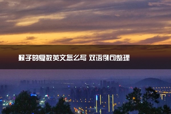 猴子的复数英文怎么写 双语例句整理