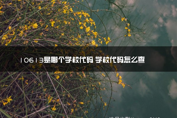 10613是哪个学校代码 学校代码怎么查找