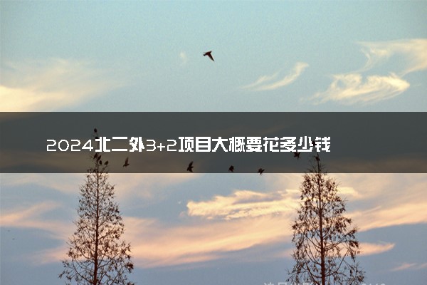 2024北二外3+2项目大概要花多少钱 本硕连读项目好不好