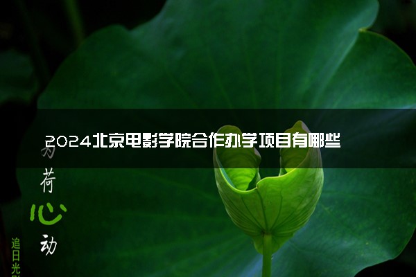 2024北京电影学院合作办学项目有哪些 值得读研吗