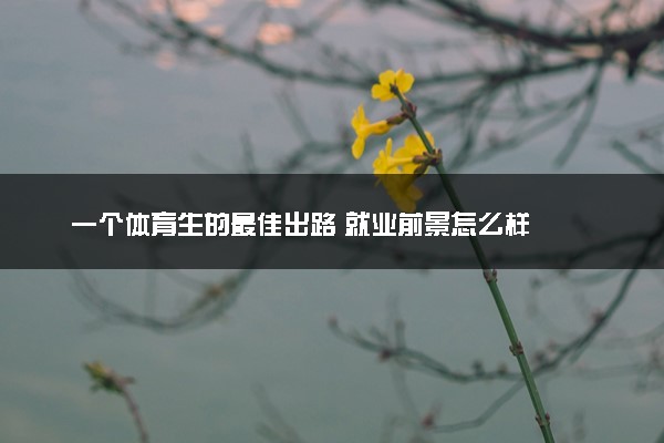 一个体育生的最佳出路 就业前景怎么样