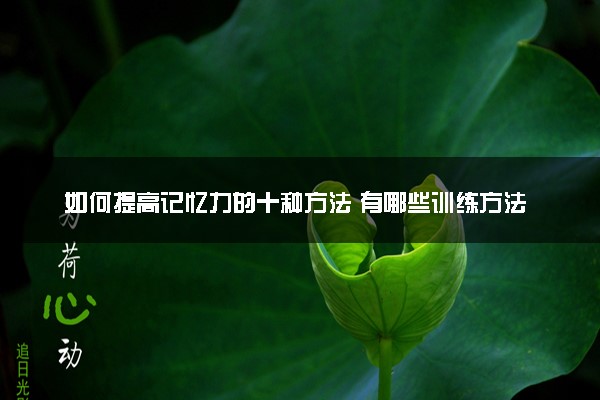 如何提高记忆力的十种方法 有哪些训练方法