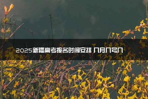 2025新疆高考报名时间安排 几月几号几点截止