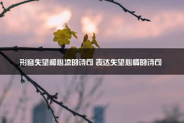 形容失望和心凉的诗句 表达失望心情的诗句精选