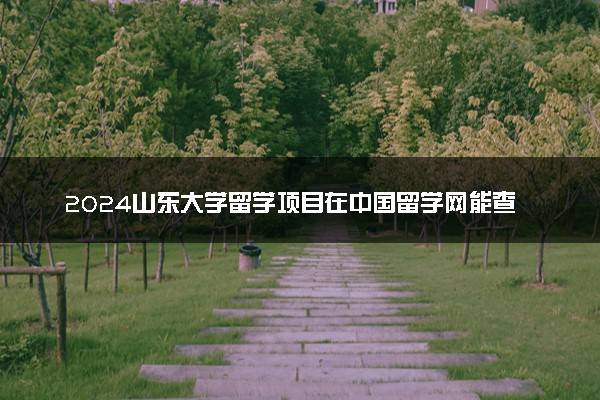 2024山东大学留学项目在中国留学网能查到吗