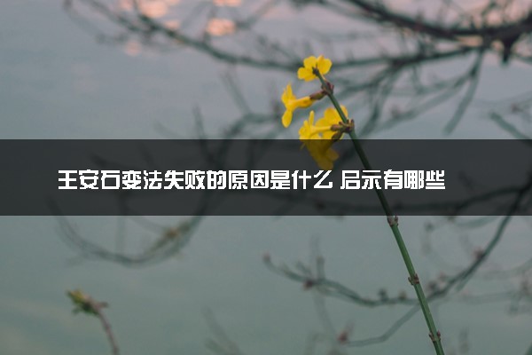 王安石变法失败的原因是什么 启示有哪些