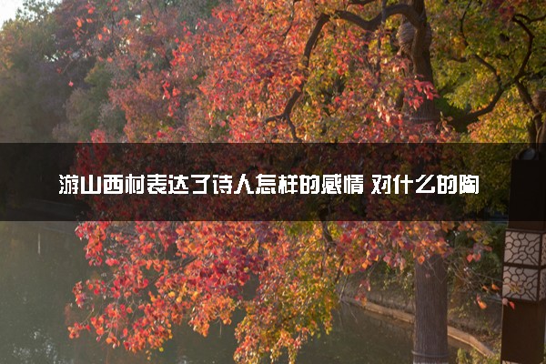 游山西村表达了诗人怎样的感情 对什么的陶醉