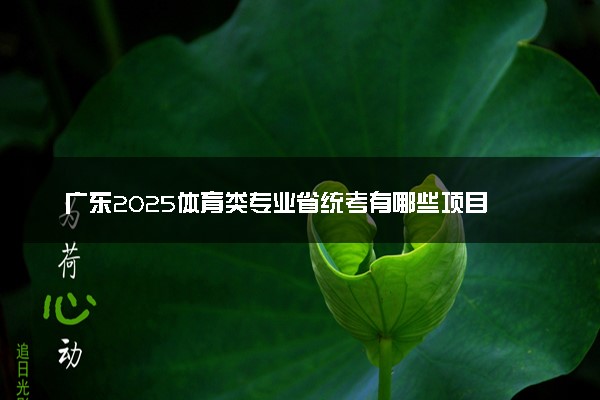 广东2025体育类专业省统考有哪些项目 各科多少分