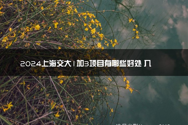 2024上海交大1加3项目有哪些好处 入学要求是什么
