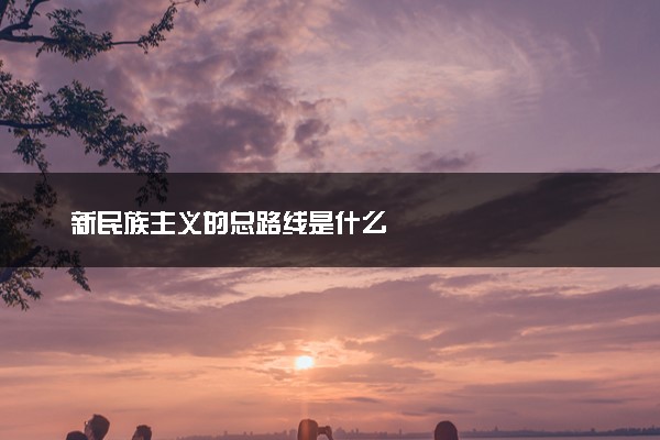 新民族主义的总路线是什么