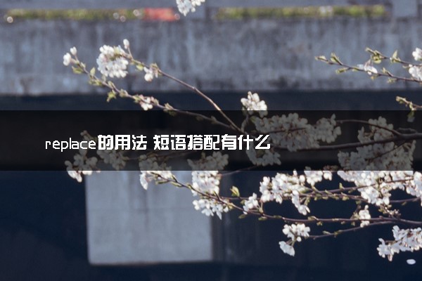 replace的用法 短语搭配有什么