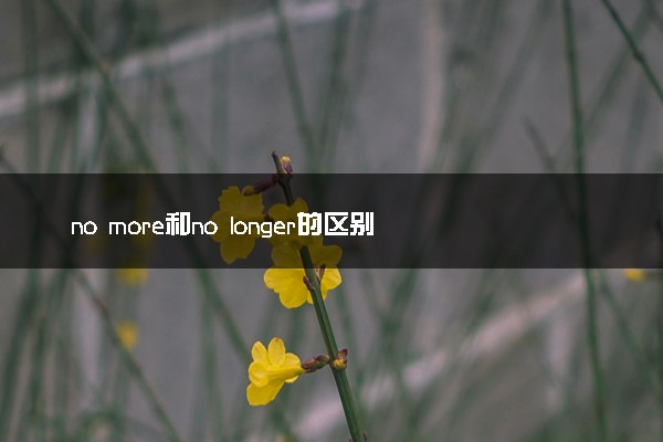 no more和no longer的区别 二者有何不同
