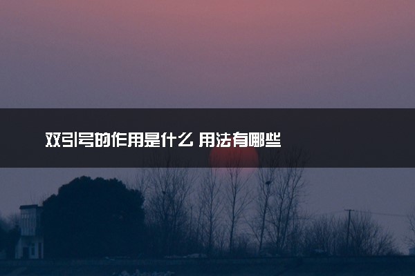 双引号的作用是什么 用法有哪些