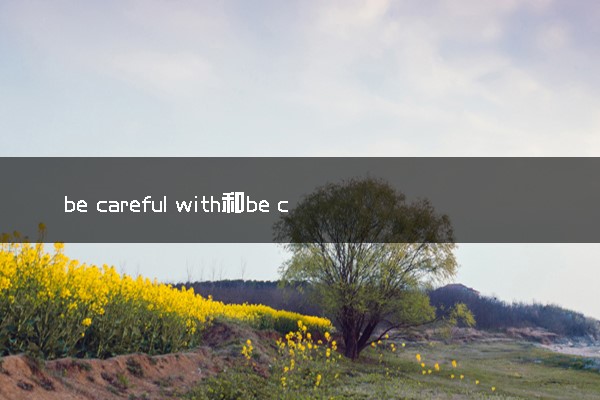 be careful with和be careful of的区别 二者有何不同