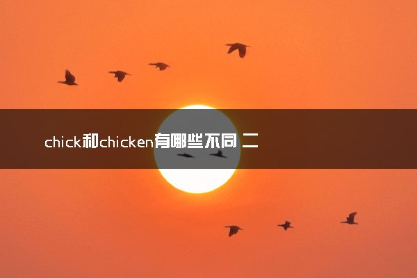 chick和chicken有哪些不同 二者有何不同