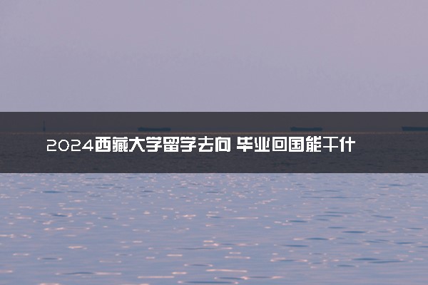 2024西藏大学留学去向 毕业回国能干什么