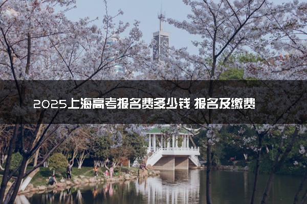 2025上海高考报名费多少钱 报名及缴费入口