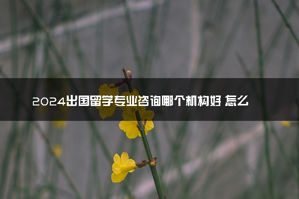2024出国留学专业咨询哪个机构好 怎么选择