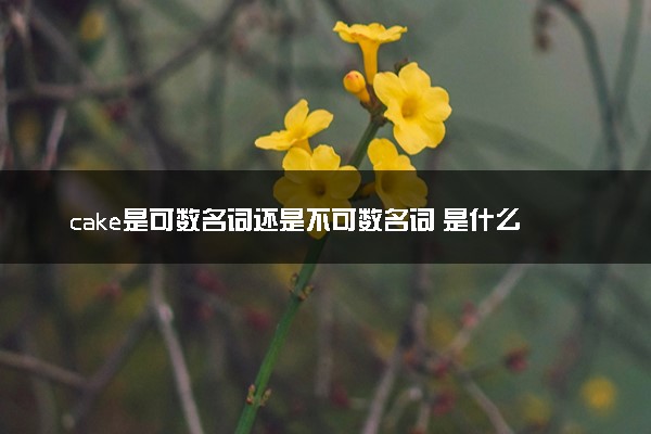 cake是可数名词还是不可数名词 是什么意思