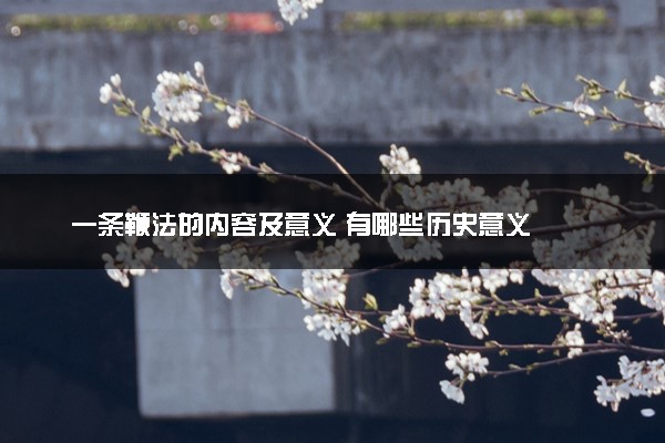 一条鞭法的内容及意义 有哪些历史意义