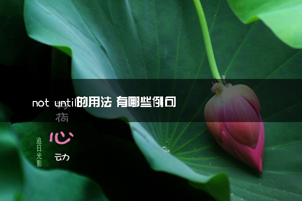 not until的用法 有哪些例句