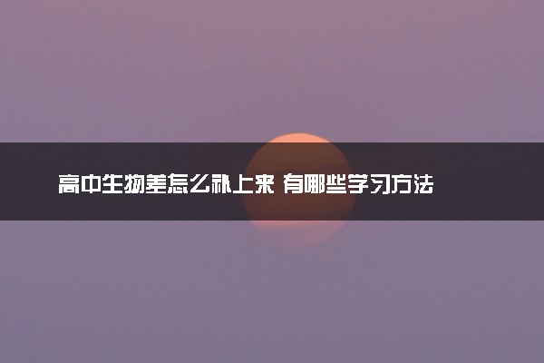 高中生物差怎么补上来 有哪些学习方法