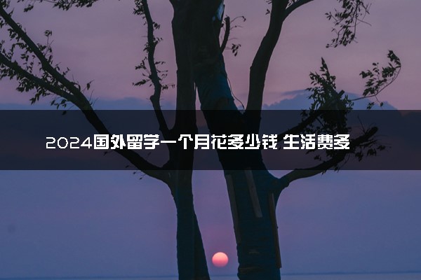 2024国外留学一个月花多少钱 生活费多少