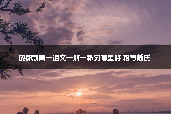 成都新高一语文一对一补习哪里好 推荐戴氏教育