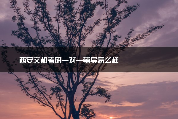 西安文都考研一对一辅导怎么样