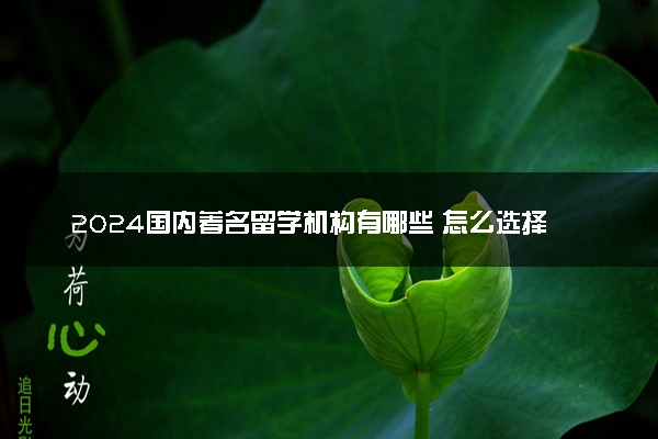 2024国内著名留学机构有哪些 怎么选择好