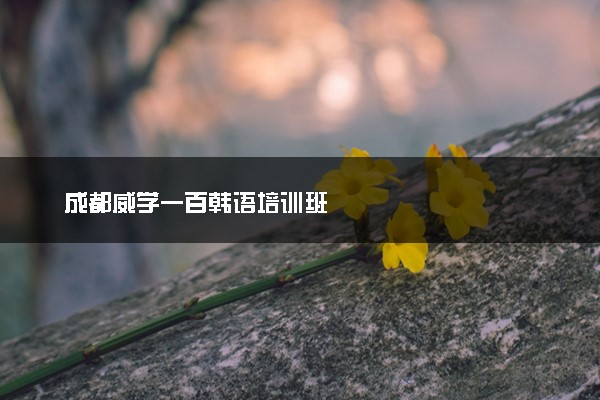成都威学一百韩语培训班
