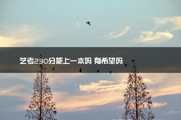 艺考230分能上一本吗 有希望吗