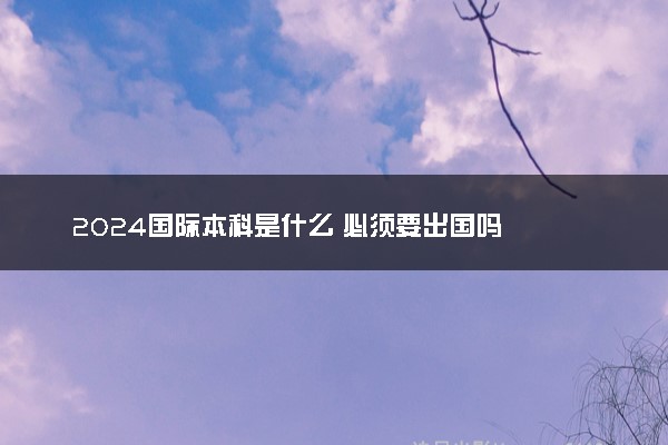 2024国际本科是什么 必须要出国吗