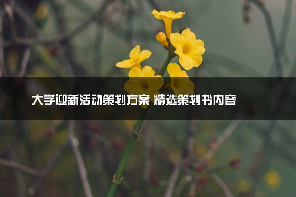大学迎新活动策划方案 精选策划书内容