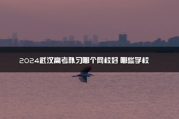 2024武汉高考补习哪个网校好 哪些学校比较推荐
