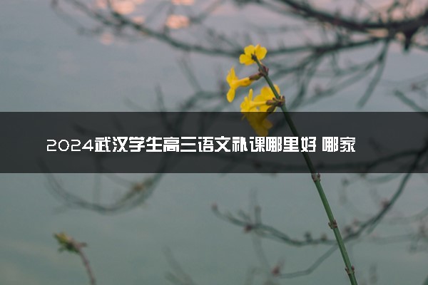 2024武汉学生高三语文补课哪里好 哪家机构值得推荐