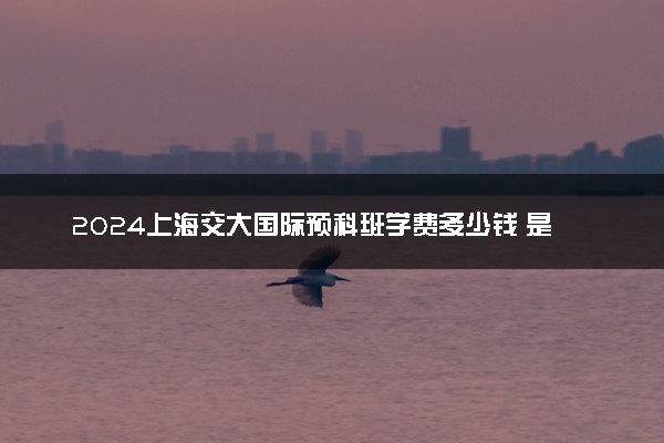 2024上海交大国际预科班学费多少钱 是什么意思