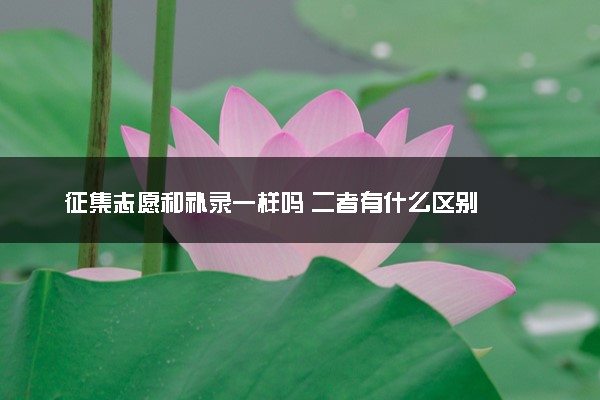 征集志愿和补录一样吗 二者有什么区别