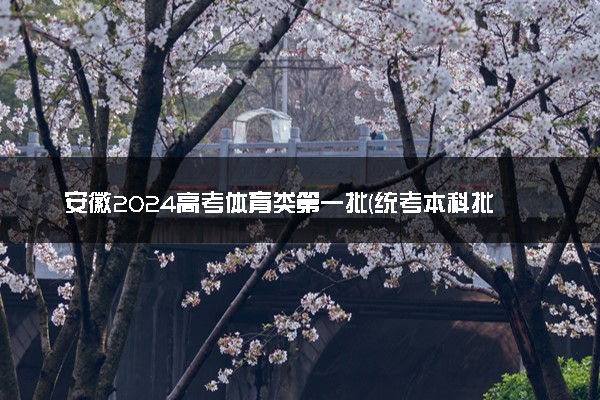 安徽2024高考体育类第一批(统考本科批)缺额计划公布
