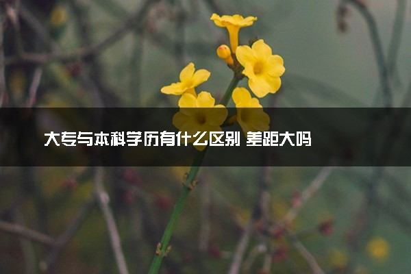 大专与本科学历有什么区别 差距大吗