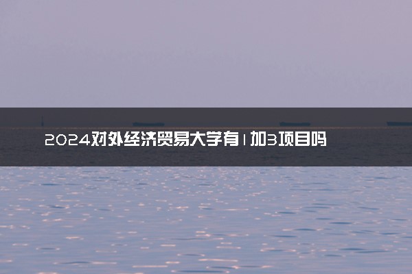 2024对外经济贸易大学有1加3项目吗 是什么学历