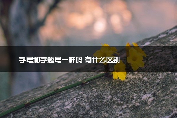 学号和学籍号一样吗 有什么区别