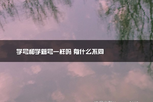 学号和学籍号一样吗 有什么不同