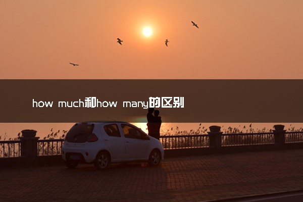 how much和how many的区别是什么 有什么不同