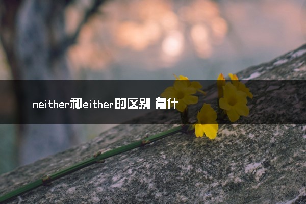 neither和either的区别 有什么不同