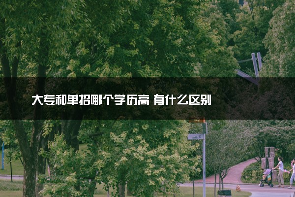 大专和单招哪个学历高 有什么区别